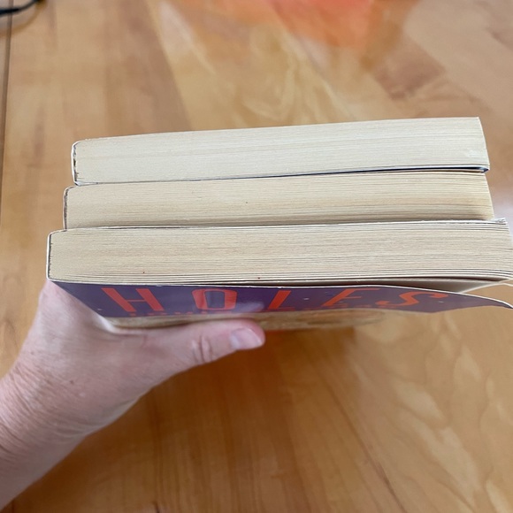Vintage collectible copy  of Louis Sachar HOLES Scholastic Paperback - Picture 13 of 13